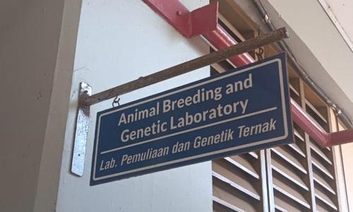 Laboratorium Genetika dan Pemuliaan Ternak